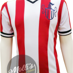 Jersey (Playera) Chivas