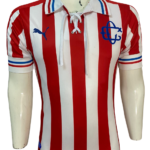 Jersey (Playera) Chivas Local 110 Aniversario-