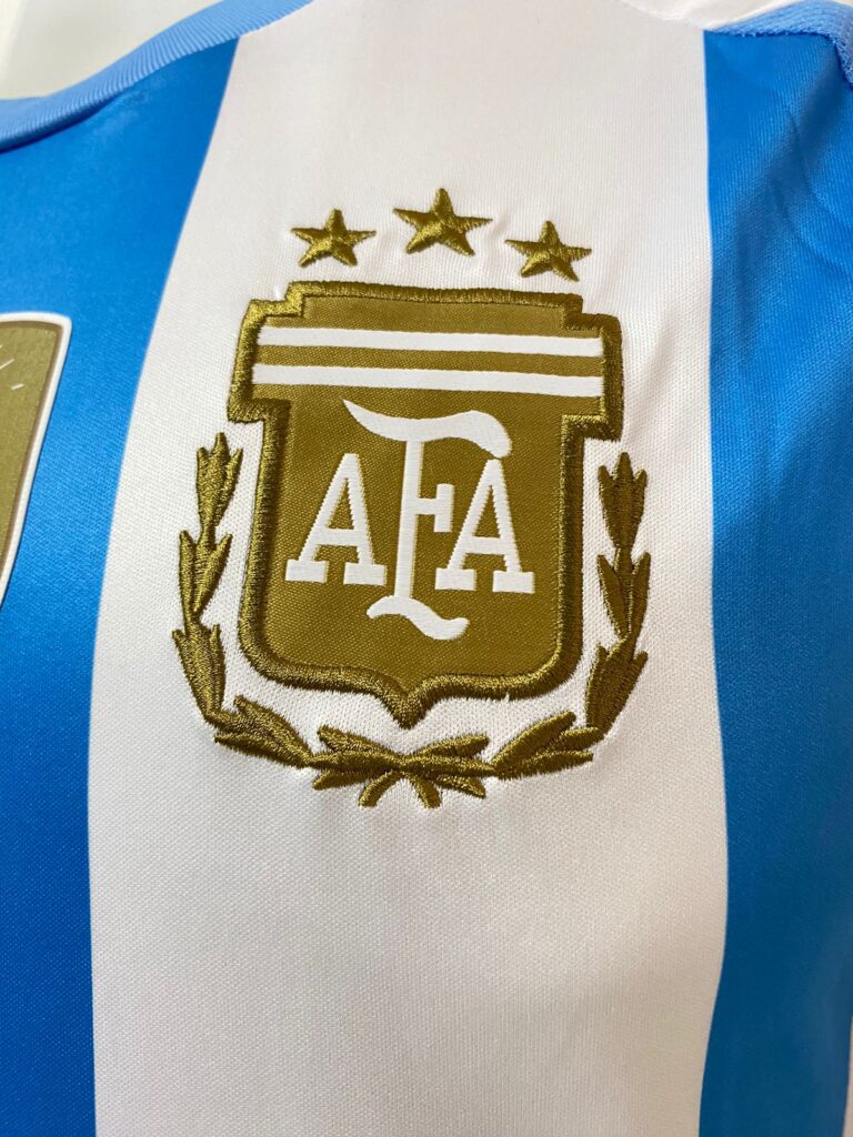 Jersey (Playera) Argentina Local 2024 Versión Aficionado - Imagen 2