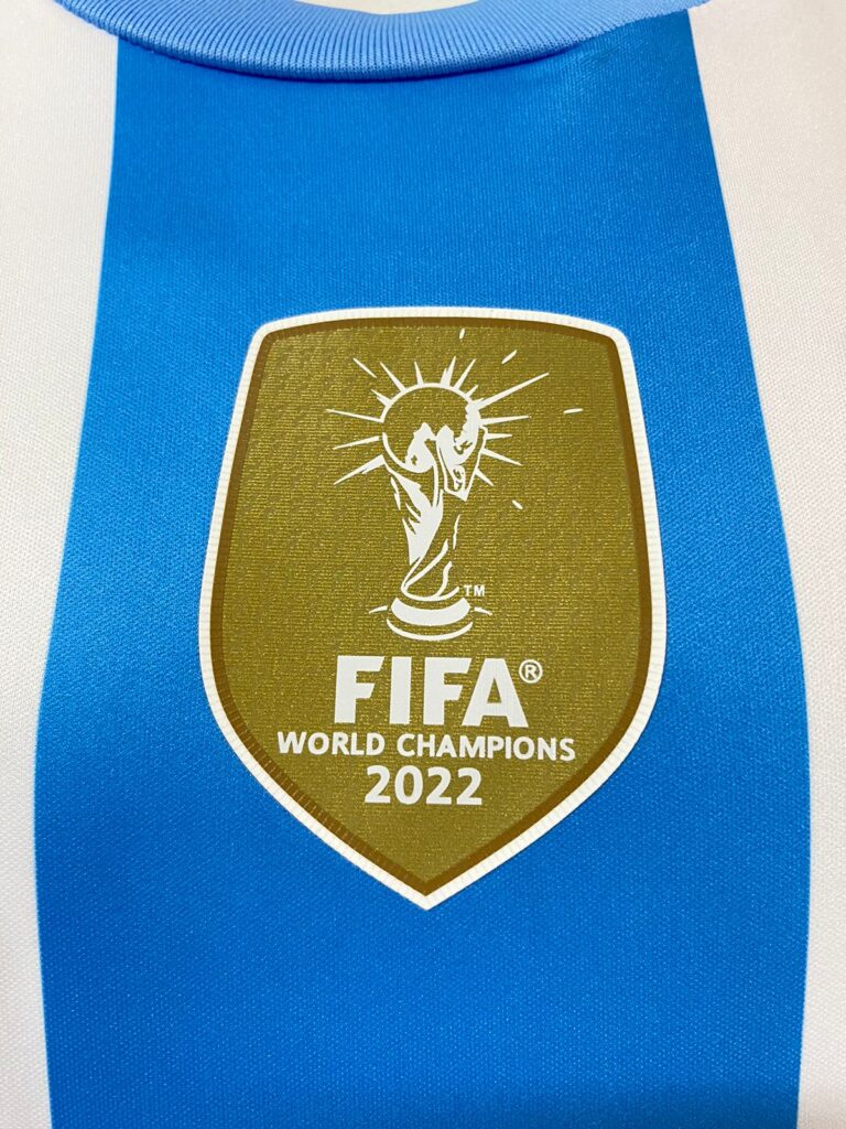 Jersey (Playera) Argentina Local 2024 Versión Aficionado - Imagen 3