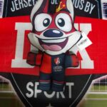 Peluche Zorry (Atlas) Qucho