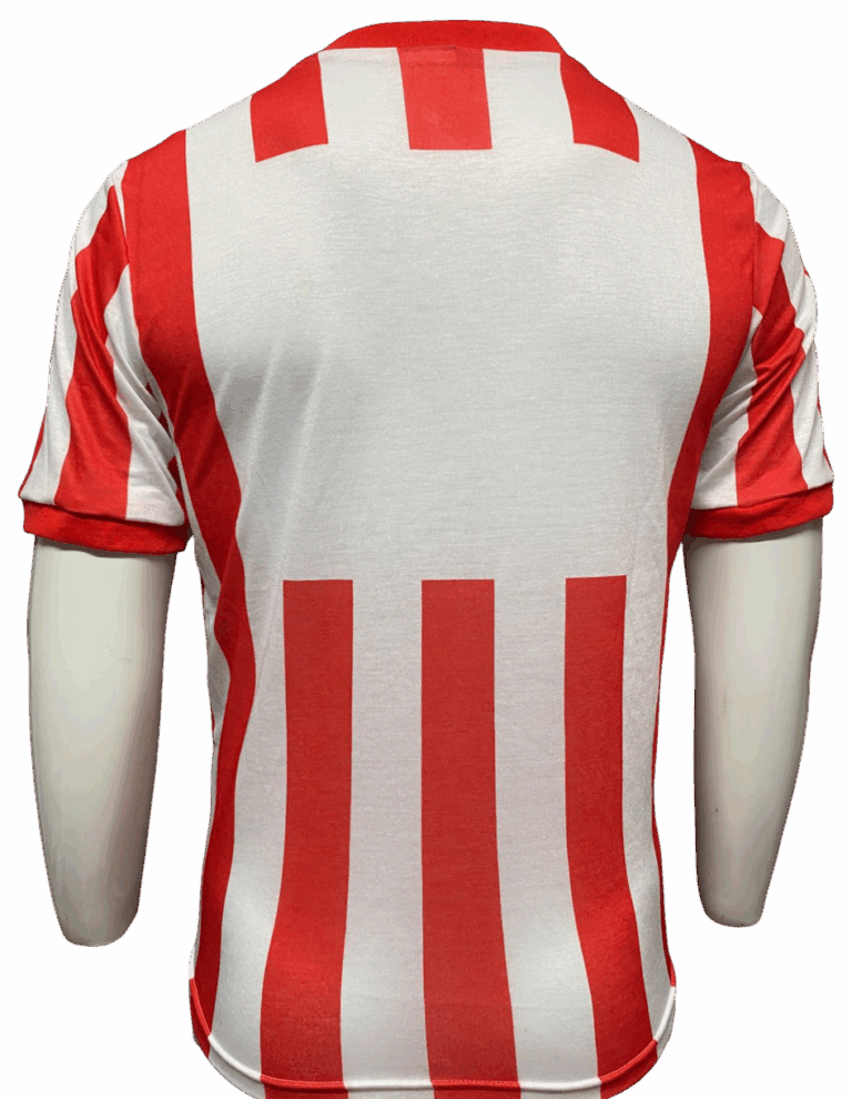 Jersey (Playera) Chivas Local 89/90. - Imagen 5