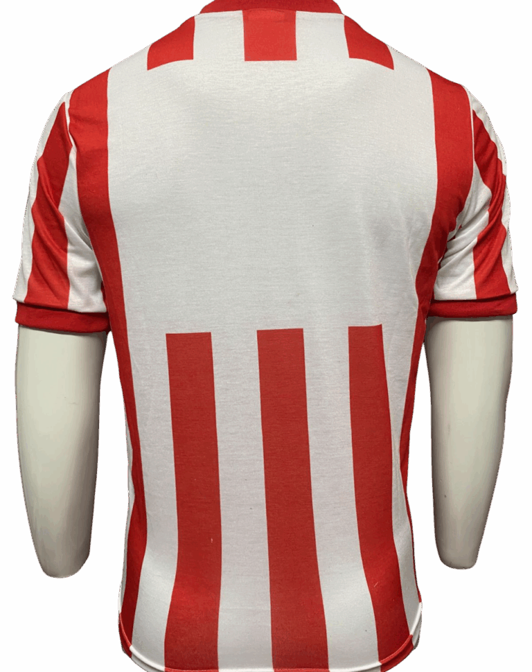 Jersey (Playera) Chivas Local 91/92. - Imagen 5