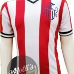 Jersey (Playera) Chivas.