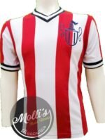 Jersey (Playera) Chivas.