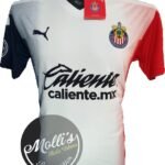 Jersey (Playera) Chivas Visitante 20/21.