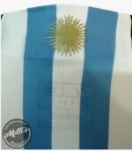 Jersey (Playera) Argentina Local 22/23 Versión Aficionado - Imagen 7