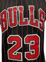 Jersey (Playera) Chicago Bulls Jordan Alternativa 96/97 - Imagen 2