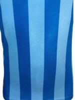Jersey (Playera) Chivas Portero 110 Aniversario - Imagen 2