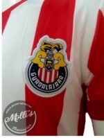 Jersey (Playera) Chivas Local Conmemorativa 115 Aniversario. - Imagen 3