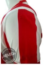 Jersey (Playera) Chivas Local Conmemorativa 115 Aniversario. - Imagen 7