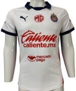 Jersey (Playera) Chivas Visita 24/25 Versión Aficionado