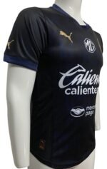 Jersey (Playera) Chivas Alternativa 24/25 Versión jugador - Imagen 3