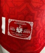 Jersey (Playera) Chivas Fantasy Versión Jugador- - Imagen 3