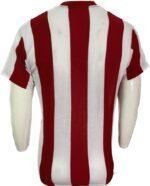 Jersey (Playera) Chivas Local 1962. - Imagen 4