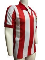 Jersey (Playera) Chivas Local 2008 Chava Reyes- - Imagen 3