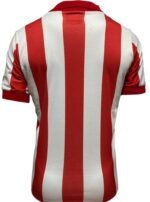 Jersey (Playera) Chivas Local 2008 Chava Reyes- - Imagen 4