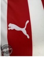 Jersey (Playera) Chivas Local 21/22. - Imagen 5