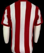 Jersey (Playera) Chivas Local 86/87 - Imagen 5