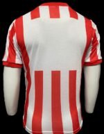Jersey (Playera) Chivas Local 89/90 - Imagen 5