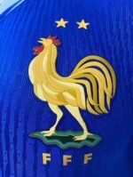 Jersey (Playera) Francia Local 2024 Versión Jugador- - Imagen 2