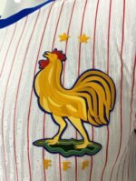 Jersey (Playera) Francia Visita 2024 Versión Jugador- - Imagen 2