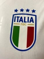 Jersey (Playera) Italia Visita 2024 Versión Aficionado- - Imagen 2