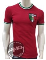 Jersey (Playera) México 1980