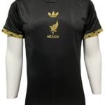 Jersey (Playera) México Alternativa 2025 Versión Aficionado
