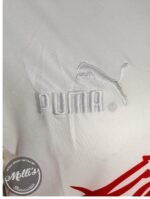 Jersey (Playera) Chivas Local Conmemorativa 115 Aniversario Portero- - Imagen 3