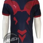 Jersey (Playera) Chivas Alternativa 18/19-