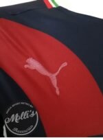 Jersey (Playera) Chivas Alternativa 18/19. - Imagen 3