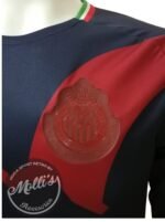 Jersey (Playera) Chivas Alternativa 18/19. - Imagen 2