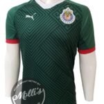 Jersey (Playera) Chivas Haz Patria 17/18.