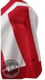Jersey (Playera) Chivas Local Conmemorativa 115 Aniversario Dama- - Imagen 4