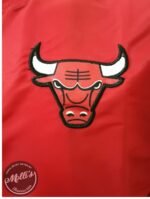 Chamarra Chicago Bulls - Imagen 2