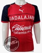 Jersey (Playera) Chivas Alternativa 21/22