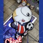 Cojín Qucho Chivit