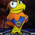 Cojín Willy (América) Qucho