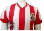 Jersey (Playera) Chivas Local Conmemorativa 115 Aniversario. - Imagen 2
