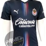 Jersey (Playera) Chivas Alternativa 20/21.