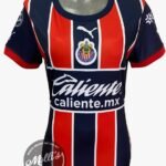Jersey (Playera) Chivas Alternativa 22/23