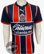 Jersey (Playera) Chivas Alternativa 22/23 Versión Aficionado-
