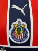 Jersey (Playera) Chivas Alternativa 22/23 Versión Aficionado- - Imagen 2