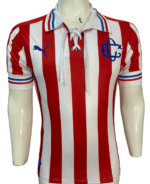 Jersey (Playera) Chivas110 Aniversario