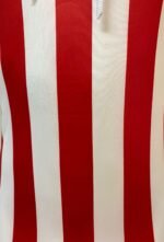 Jersey (Playera) Chivas110 Aniversario - Imagen 4
