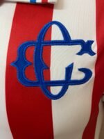 Jersey (Playera) Chivas110 Aniversario - Imagen 2