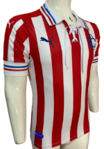 Jersey (Playera) Chivas110 Aniversario - Imagen 3