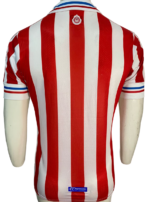 Jersey (Playera) Chivas110 Aniversario - Imagen 5