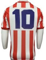 Jersey (Playera) Chivas Local 89/90 Personalizada de Benjamín Galindo - Imagen 5